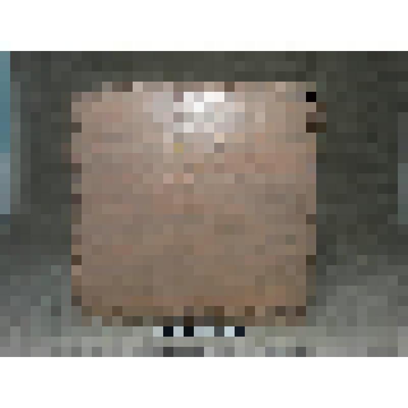 Сундук   светло-коричневого цвета с откидной крышкой. В центре крышки закреплена кожаная ручка