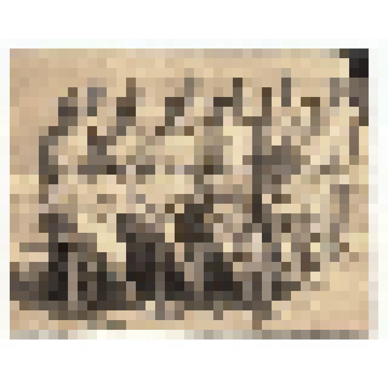 Ф/чб. Ветераны 654-го СП 148-й СД. 1: Рудченко А.И., Перзашкевич С.Г., Фирсов Н.И., Зенцов А.П., Мачуговский Г.Е., Саломатин П.А., Панфилов П.Н., Леонов, Кузнецов П.И. , Пит В.И. 2- Казаченко В.Н., 6- Москалев М.М. и др. Чехословакия. Май 1945