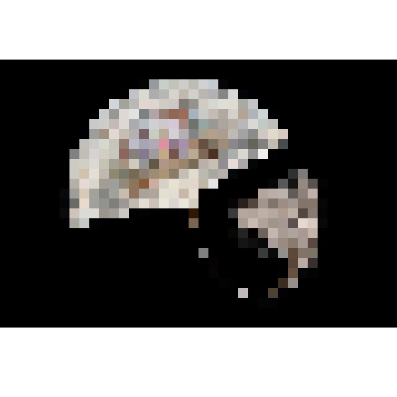 Веер М. Тальони