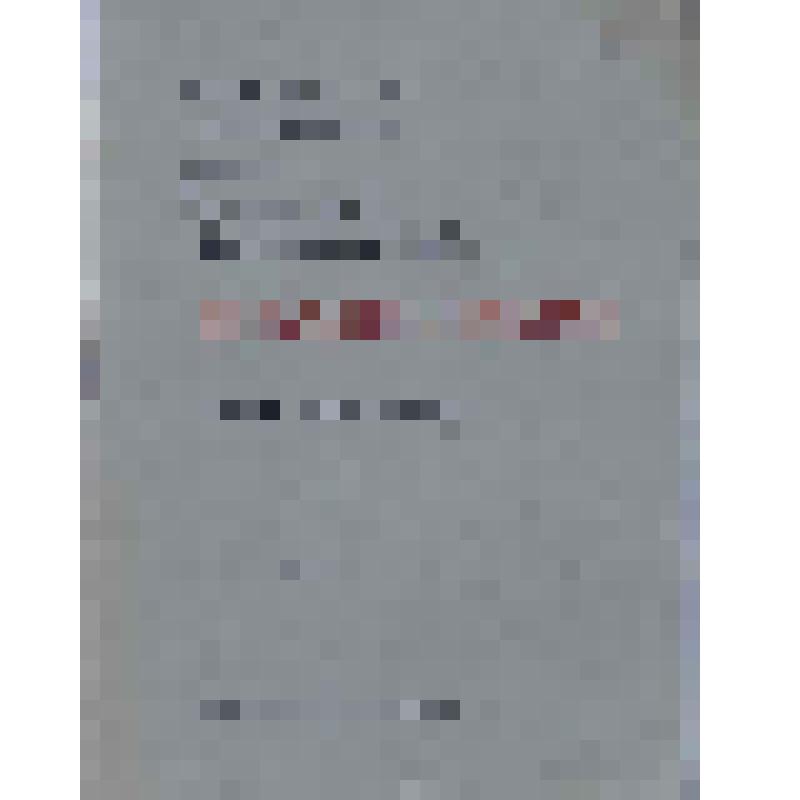 Конституция