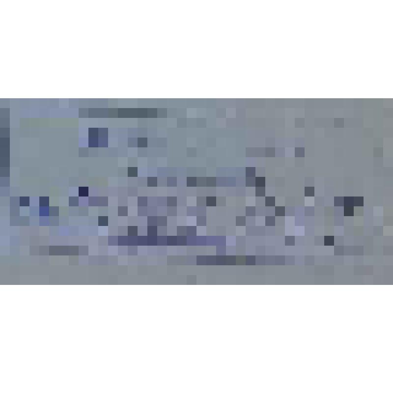 Конституция