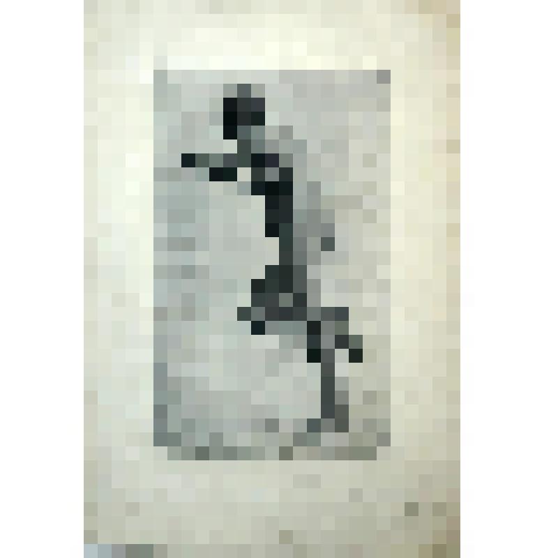 "Женская обнажённая фигура". Гравюра