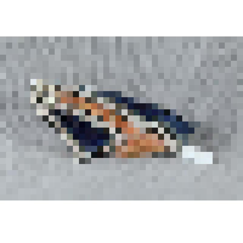 Изразец неправильной формы рельефный полихромный (правая часть панно) с изображением фрагмента лука Вольги на фоне неба; цвета: светло-коричневый, белый, ультрамарин. 
Камин керамический, разноцветный, по рис. худ. Врубеля на тему "Микула Селянинович и Во