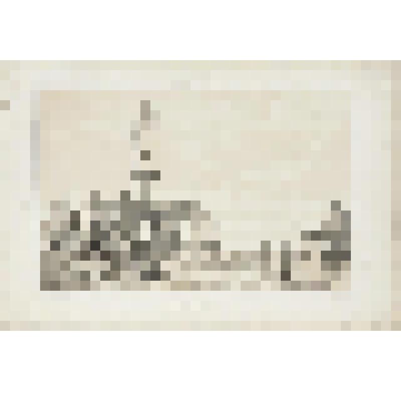 Литография. "Казанская губерния. Берега Волги. Мечеть и татарская деревня."