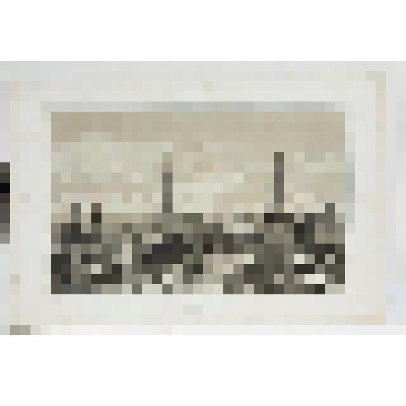 Литография. "Москва. Вид с Кремлевской террасы. Западная сторона."