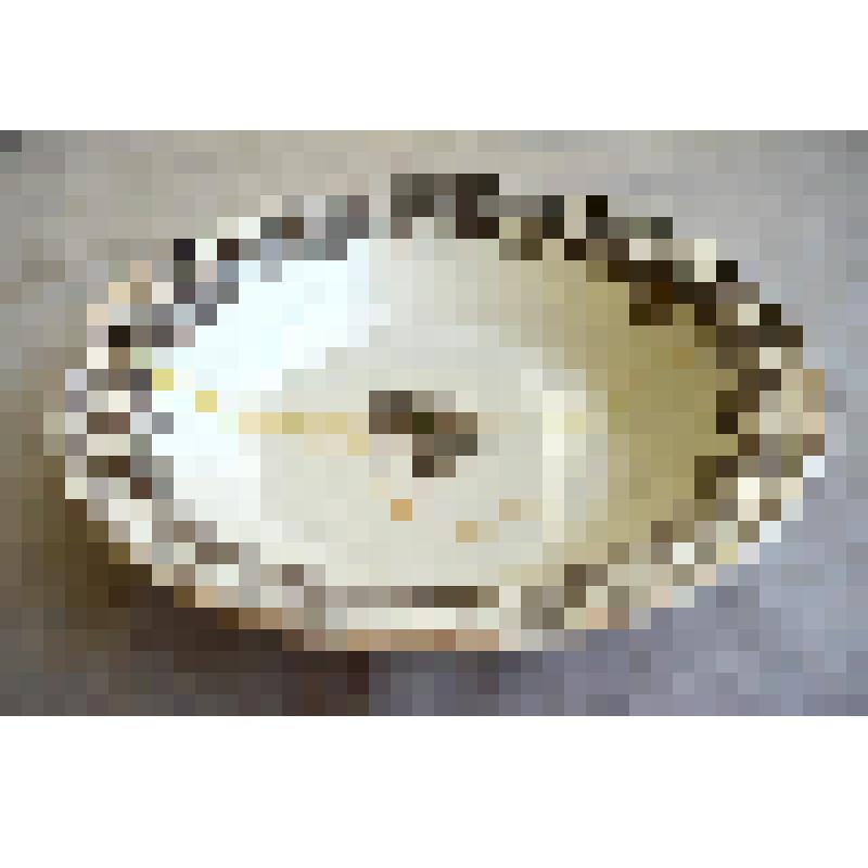 Тарелка столовая глубокая