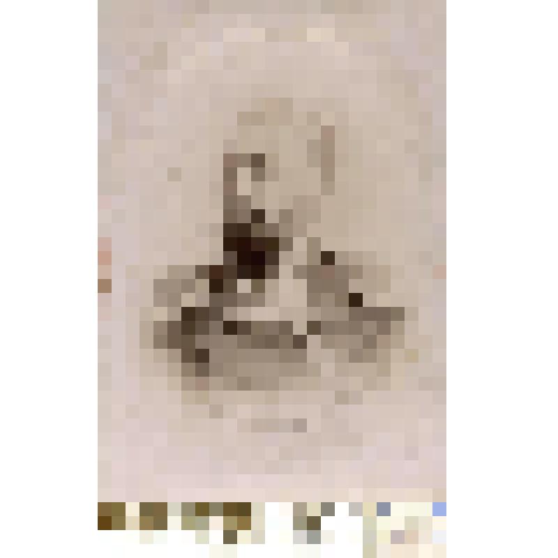 Фотография черно-белая. Яроцкий Богдан Иванович