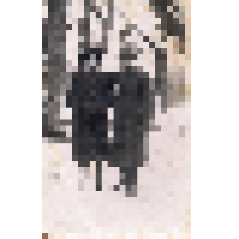 Фотография. Супруги Петелины. Александр Иванович с женой