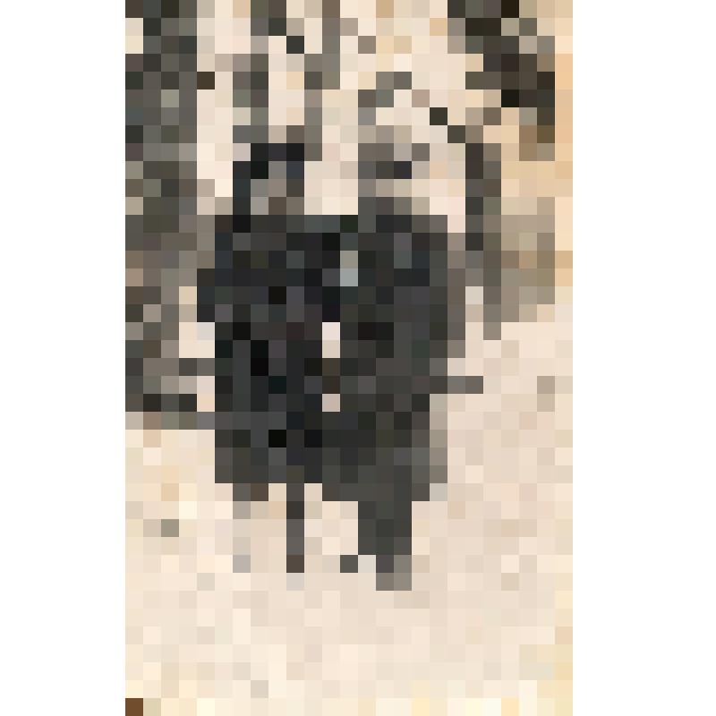 Фотография. Супруги Петелины. Александр Иванович с женой