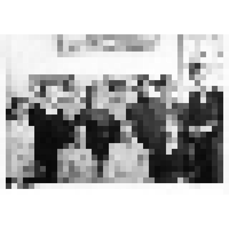 Фотография. Студенты группы технологи-деревообработки Лобвинского техникума филиал Тавдинского техникума механической обработки древесины