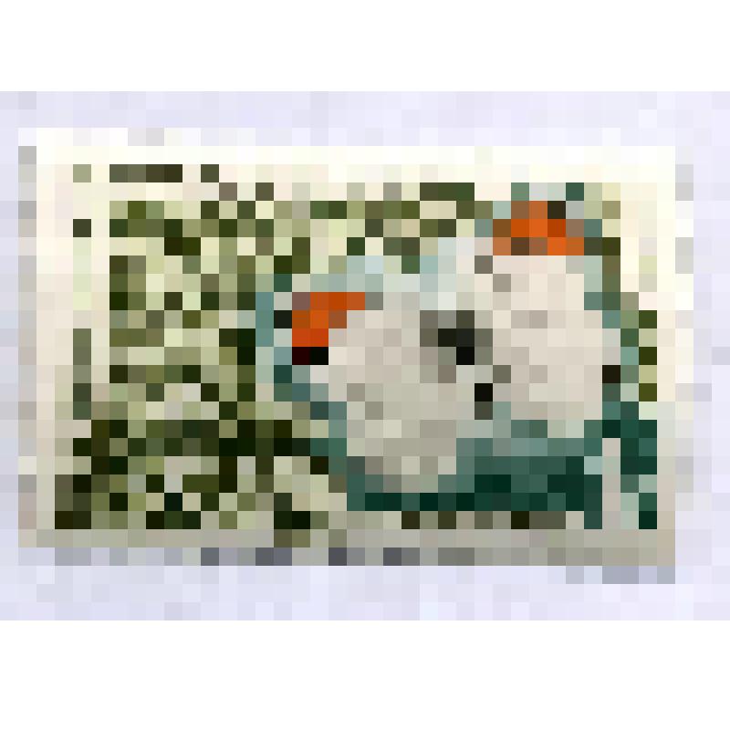 Марка почтовая. Бабочка Colotis evippe. 1 франк