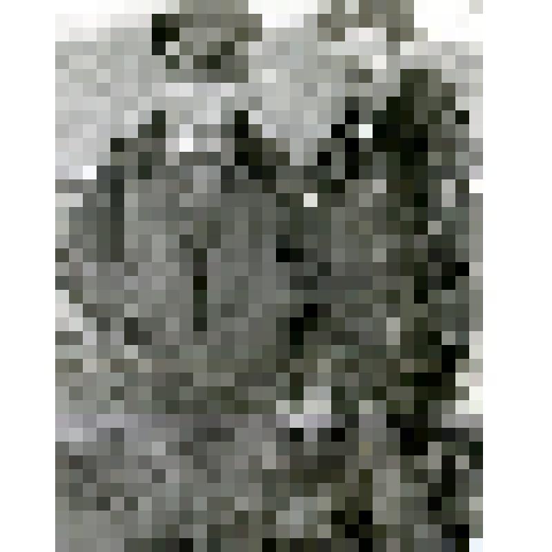 Лейтенант Никифоров Вячеслав Николаевич (справа) с сослуживцем