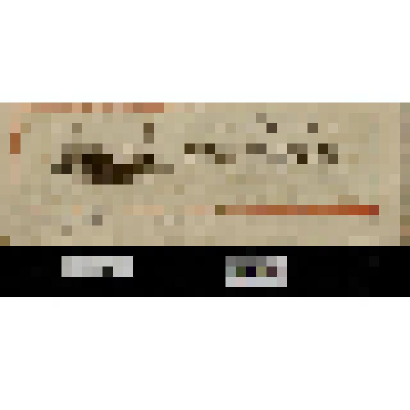 Реклама новой мышеловки. «The New Juvented Mouse Trap»