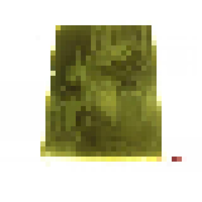 Церковь Покрова в Филях. Новозаводская ул., 6. 1693-1694 гг.; Усадьба Л.К.Нарышкина в Филях, кон. XVII в. г. Москва, с. Фили. Усадьба Л.К.Нарышкина в Филях. Церковь Покрова в Филях