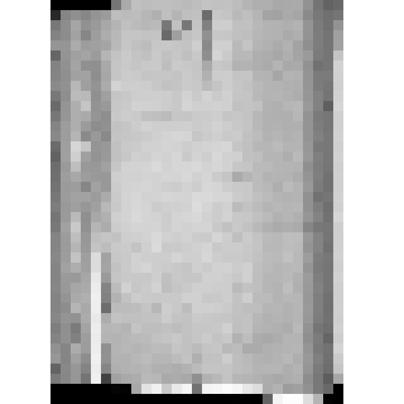 КОПИЯ РАПОРТА