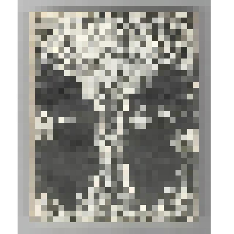 Книги. Книга "Осеннее сияние". - М., Советский писатель,1984