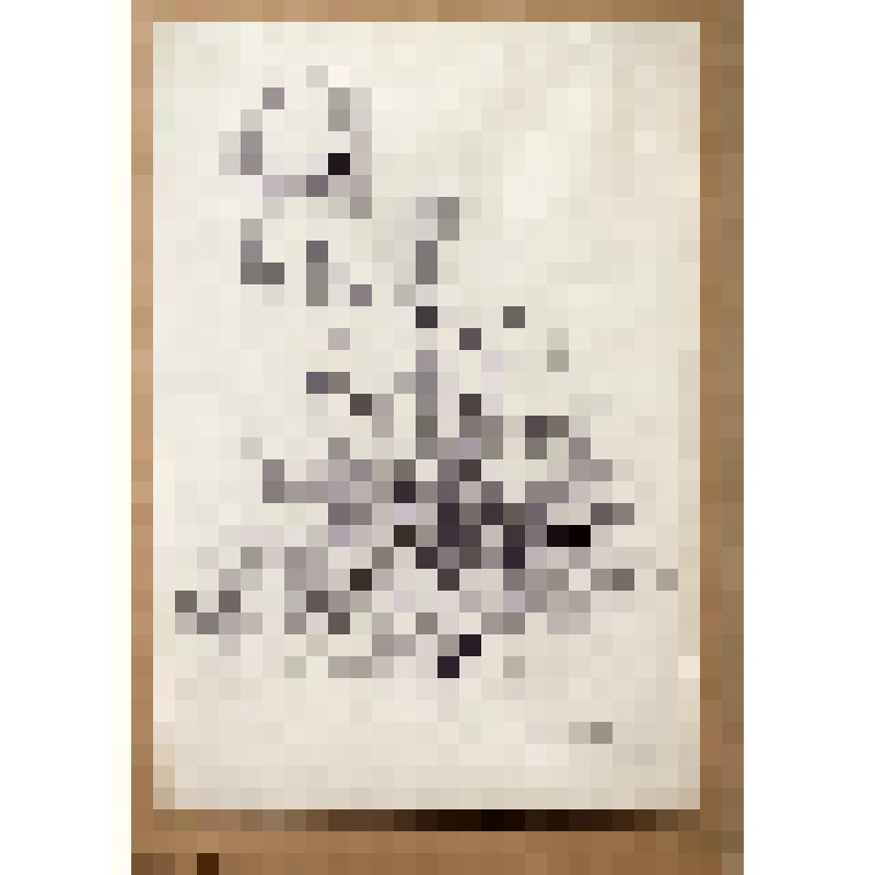 Графический лист. "Одуванчики"