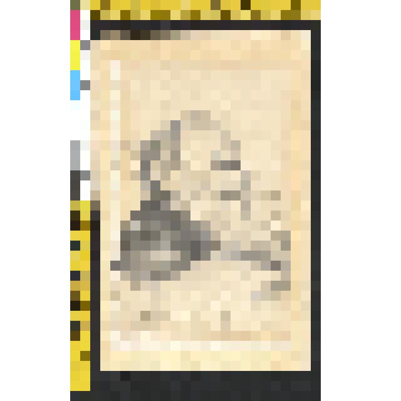 Портрет Л.Н. Толстого в 1906 г