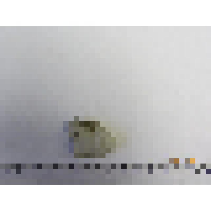 Отщеп
