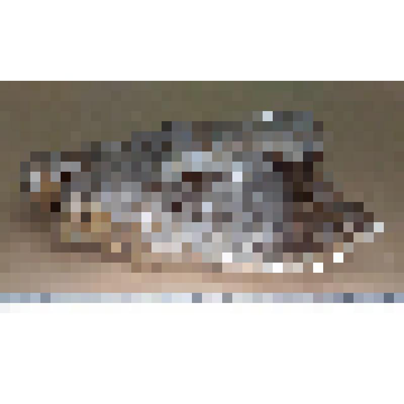 Друза кристаллов кальцита на халцедоновой корке