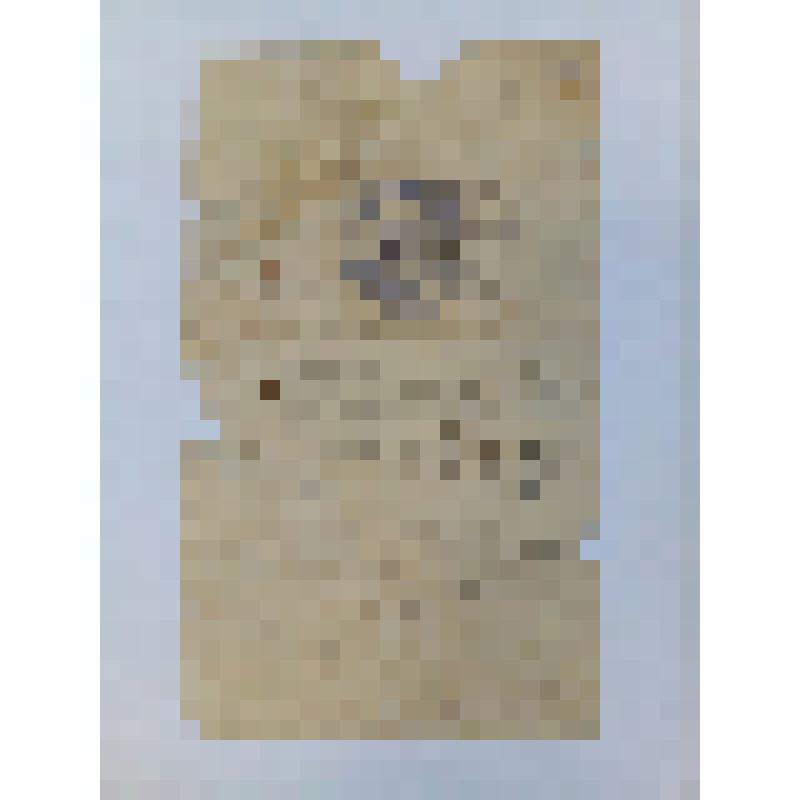 Письмо Лехан М.И. с фронта родным