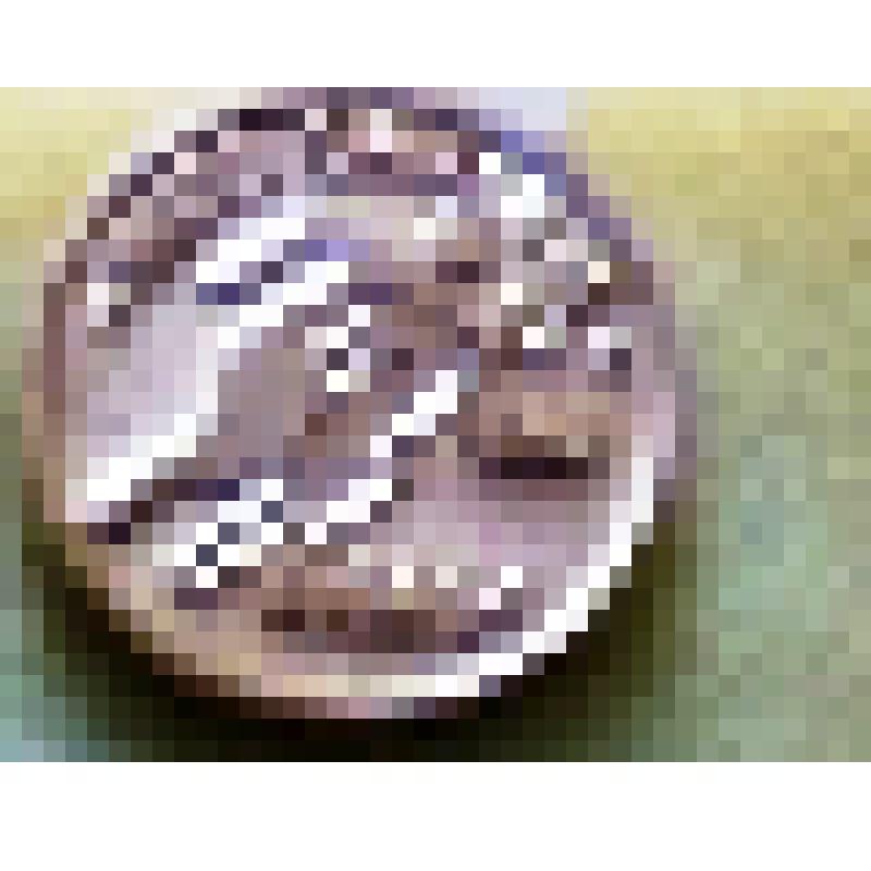 Значок "MASU SKREJIENS" "RIGA-84"