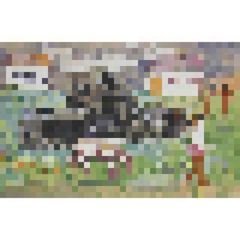 "После военная весна"