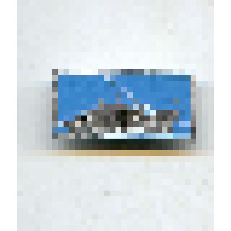 Значок "Ледокол Ленин"