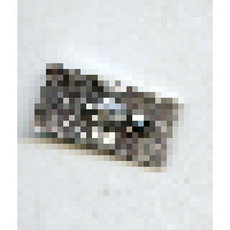 Значок "Ледокол Ленин"