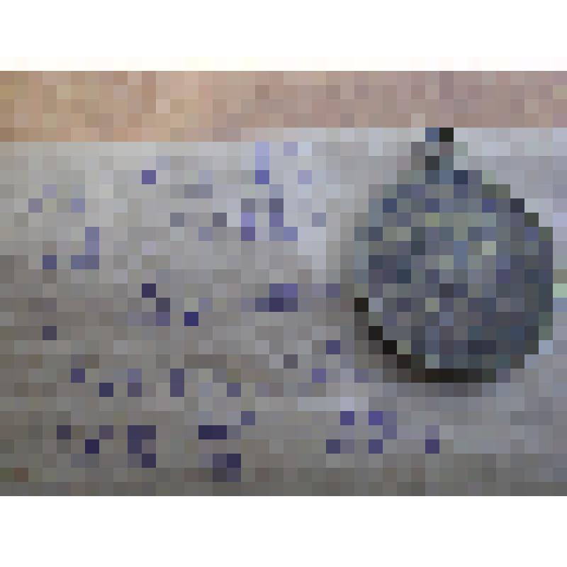 Жетон к 100 - летию Гоголя 1809-1909 гг