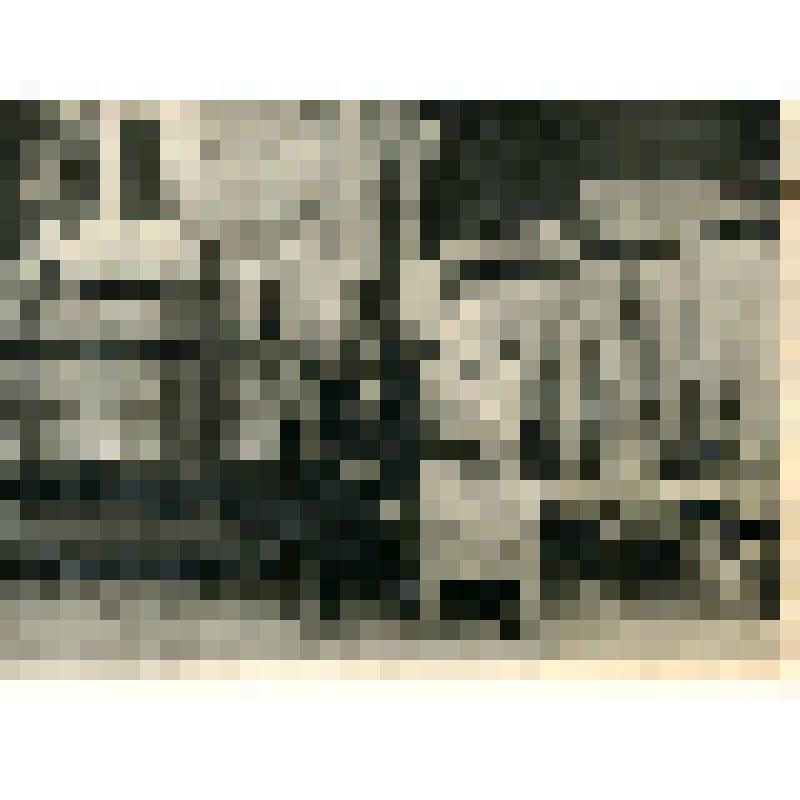 Фотография. Семейный портрет Николая Сергеевича и Александра Павловых