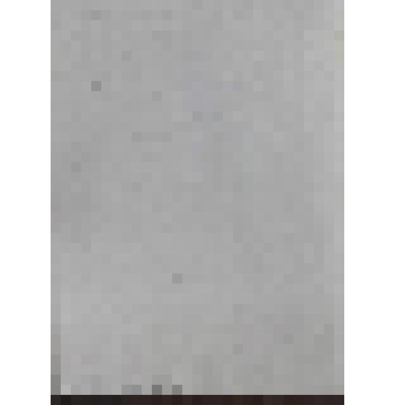 Портрет Петера Антона Гауизена