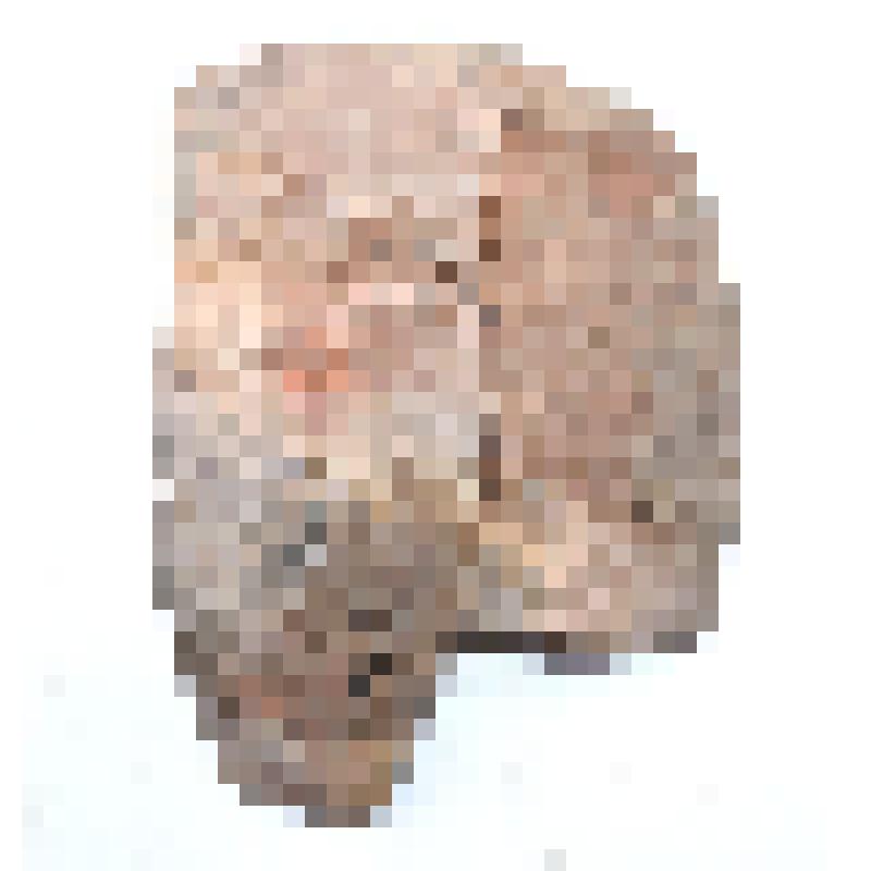 Сосуд (фрагмент)