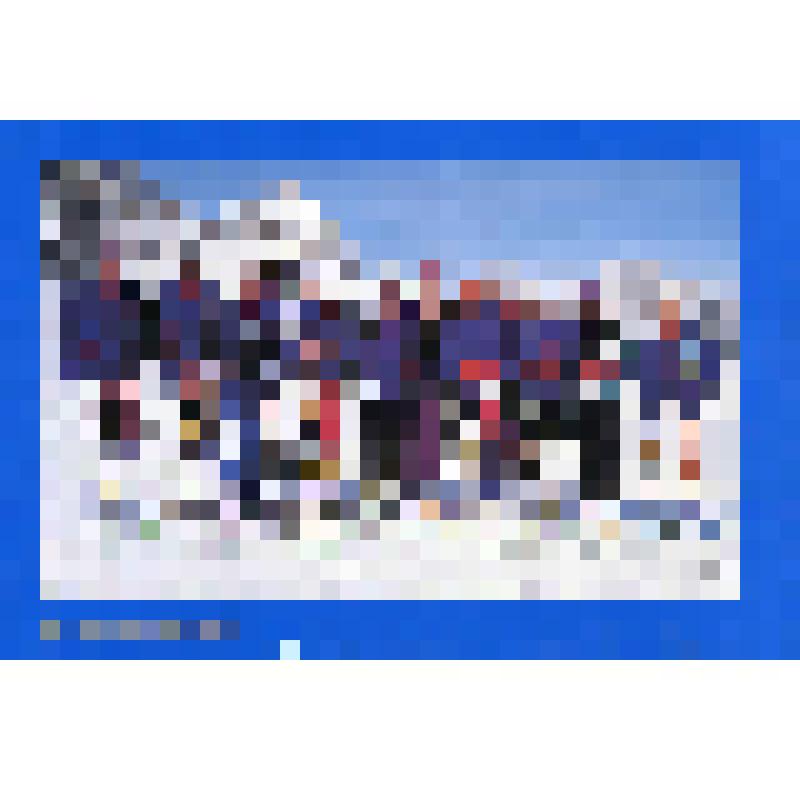 Фотооткрытка рекламная. Сборная команда России по лыжам