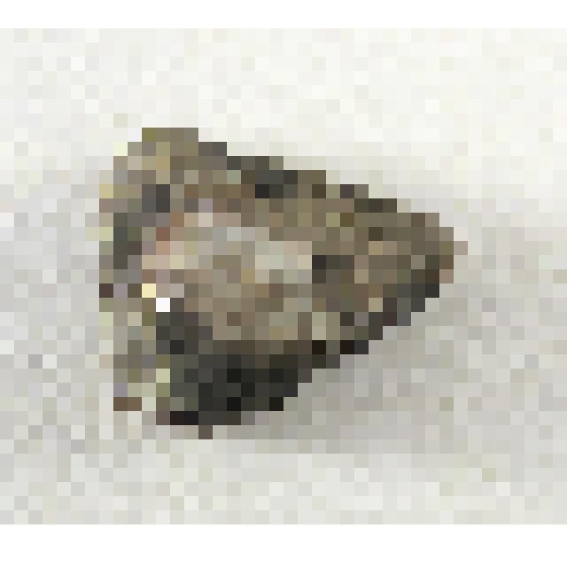 Фрагмент керамики