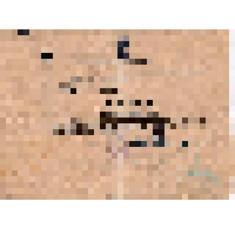 Мандат Савинкина А.И., делегата районного слета рабселькоров