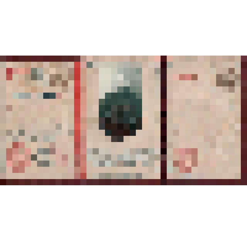 Членский билет N28 Ляпина И. - члена Крымского ЦИК Советов с фото (на русском и национальном яз.)