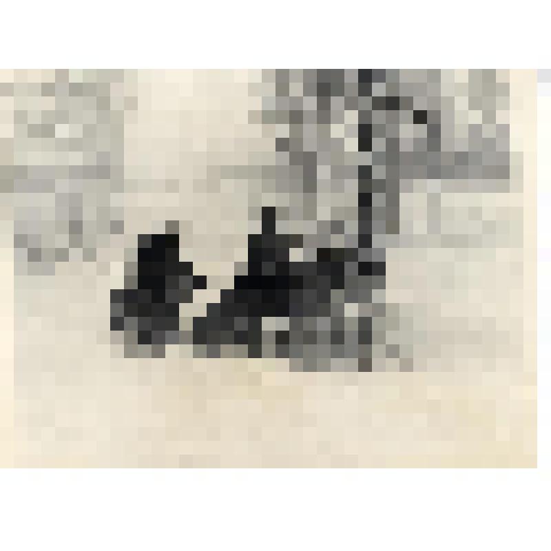 "31 января 1972 года, Мескин". Фотография черно-белая