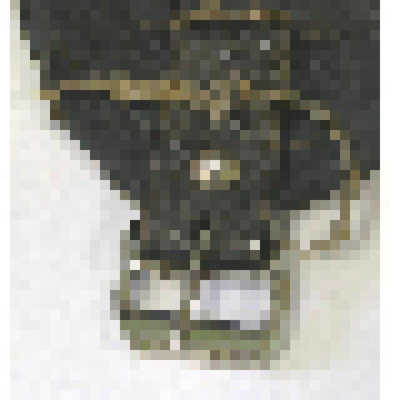 Упряжь оленья (фрагмент). Пряжка металлическая