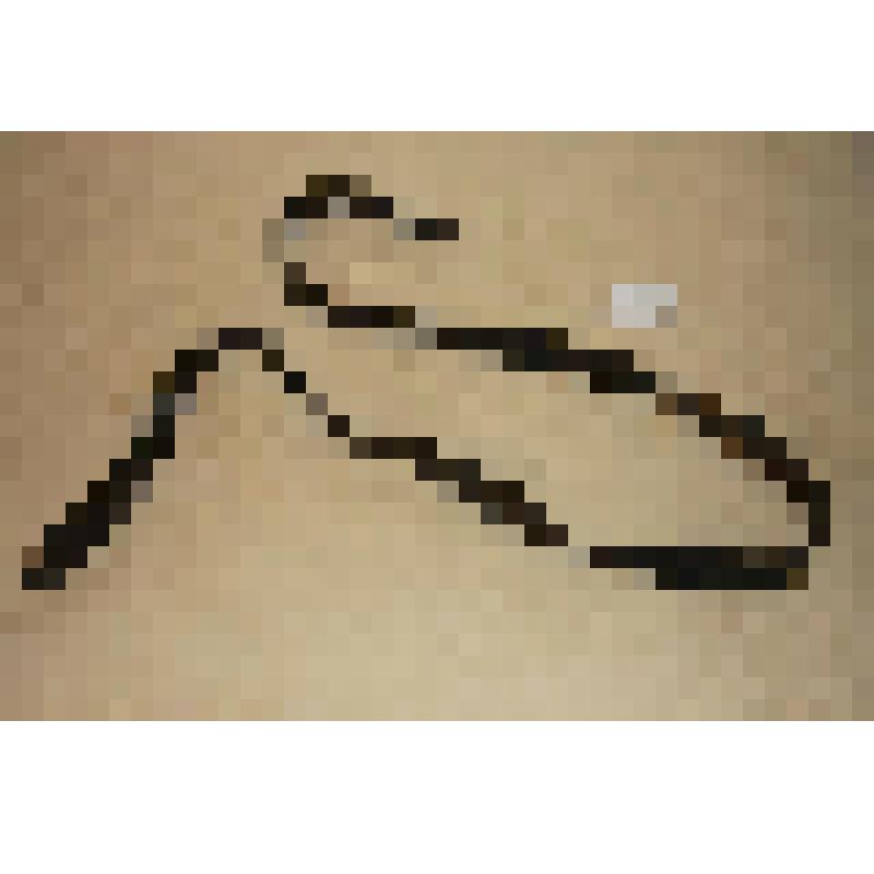 Деталь конской сбруи: ремень