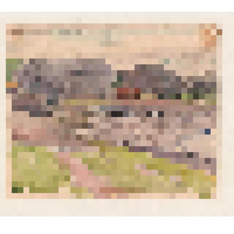 Этюд [На берегу]