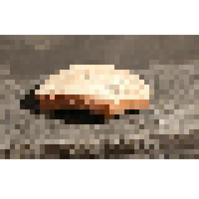 Балясина ангобированная. Фрагмент