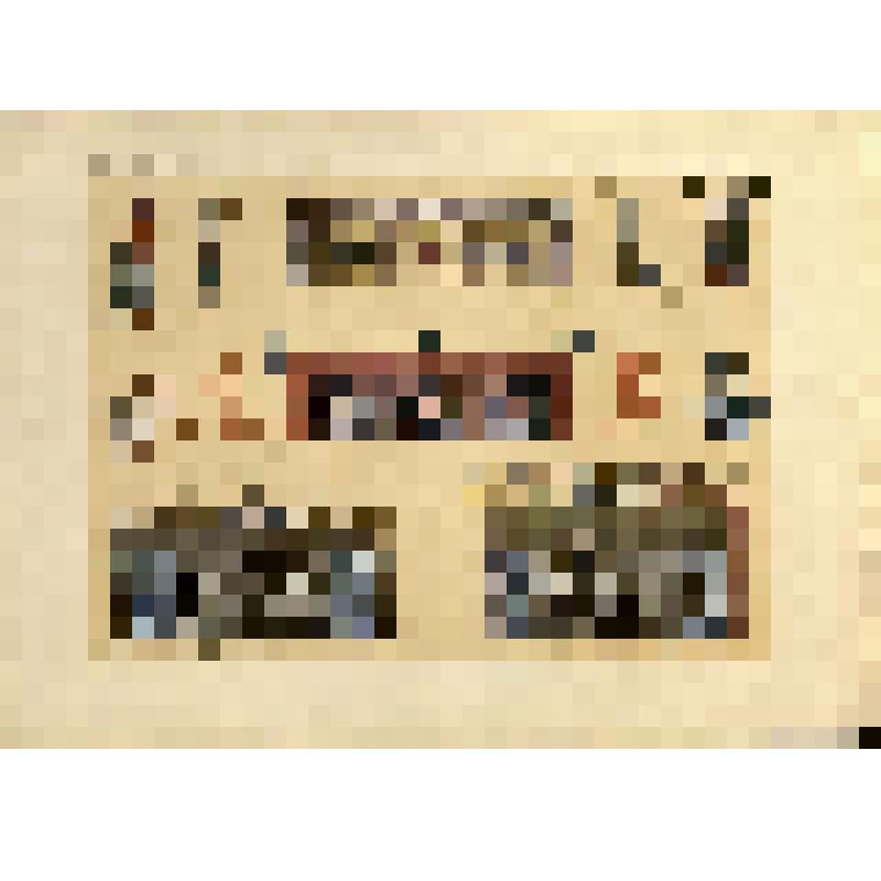 Лист PLXCIV (94). Русский орнамент XVI в. Из альбома «История русского орнамента. С X по XVI столетие. По древним рукописям»