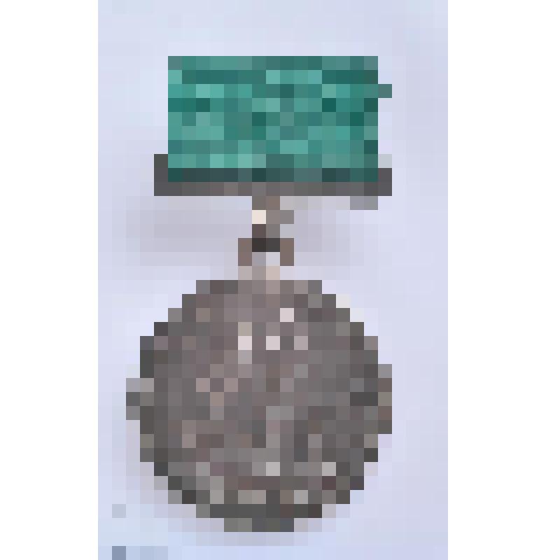 Медаль малая участника ВСХВ. СССР