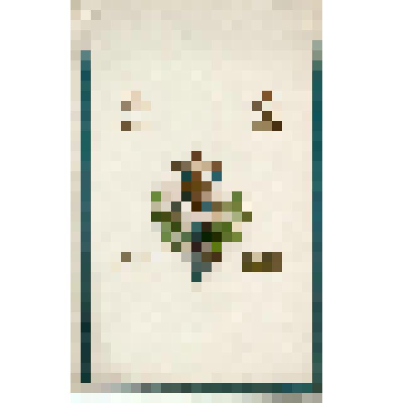 Программа спектакля. Программа оперы "Жизнь за царя" М.И.Глинки. Спектакль: «Жизнь за царя».  Постановщик: Палечек Осип Осипович.  Премьера: 30.08.1908 (возобновление). Мариинский театр