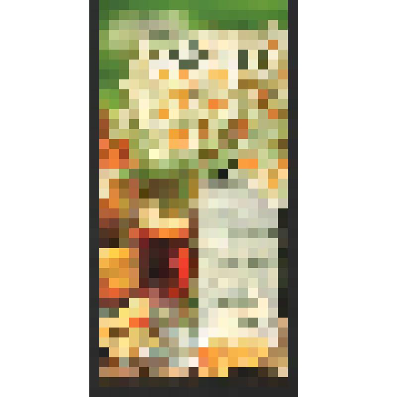 Поздравление Черновой Т.Н., [удмуртской поэтессы?] Богомоловой З.А. с юбилеем