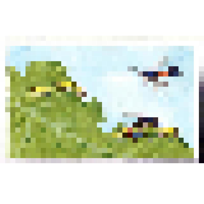 Оса аммофила песчаная (с.6). Изображены две гусениц и две осы аммофилы