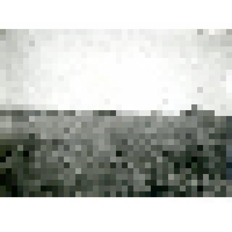 Фотография. Заброшенный Усть-Ульинский поселок