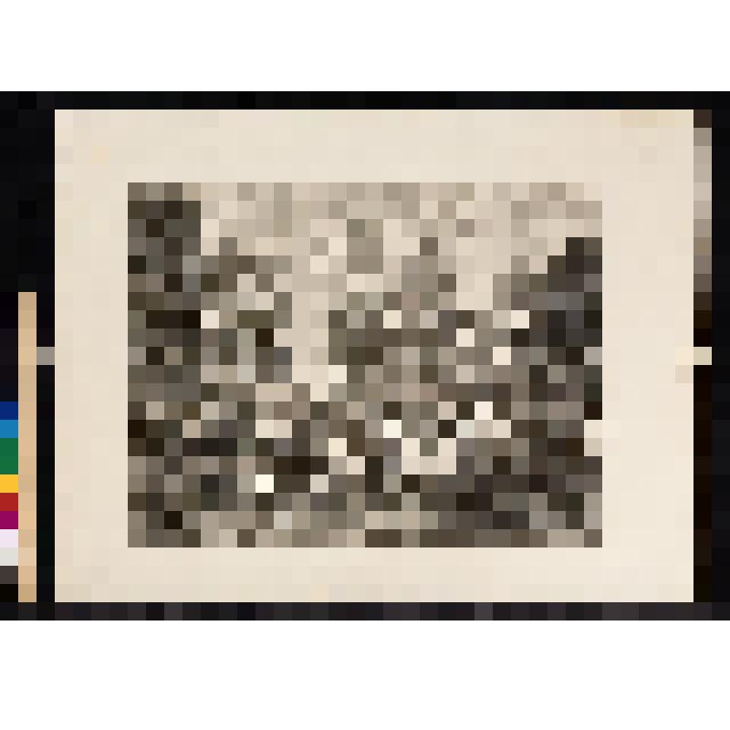 Саусуорская ярмарка. 1733, из альбома «The Works of William Hogarth»