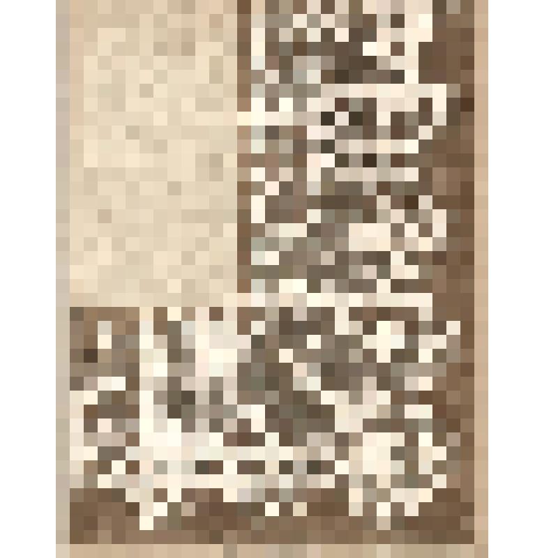 Зарисовка детали покрывала. Из альбома зарисовок «Вышивка Горьковской области». Часть 1